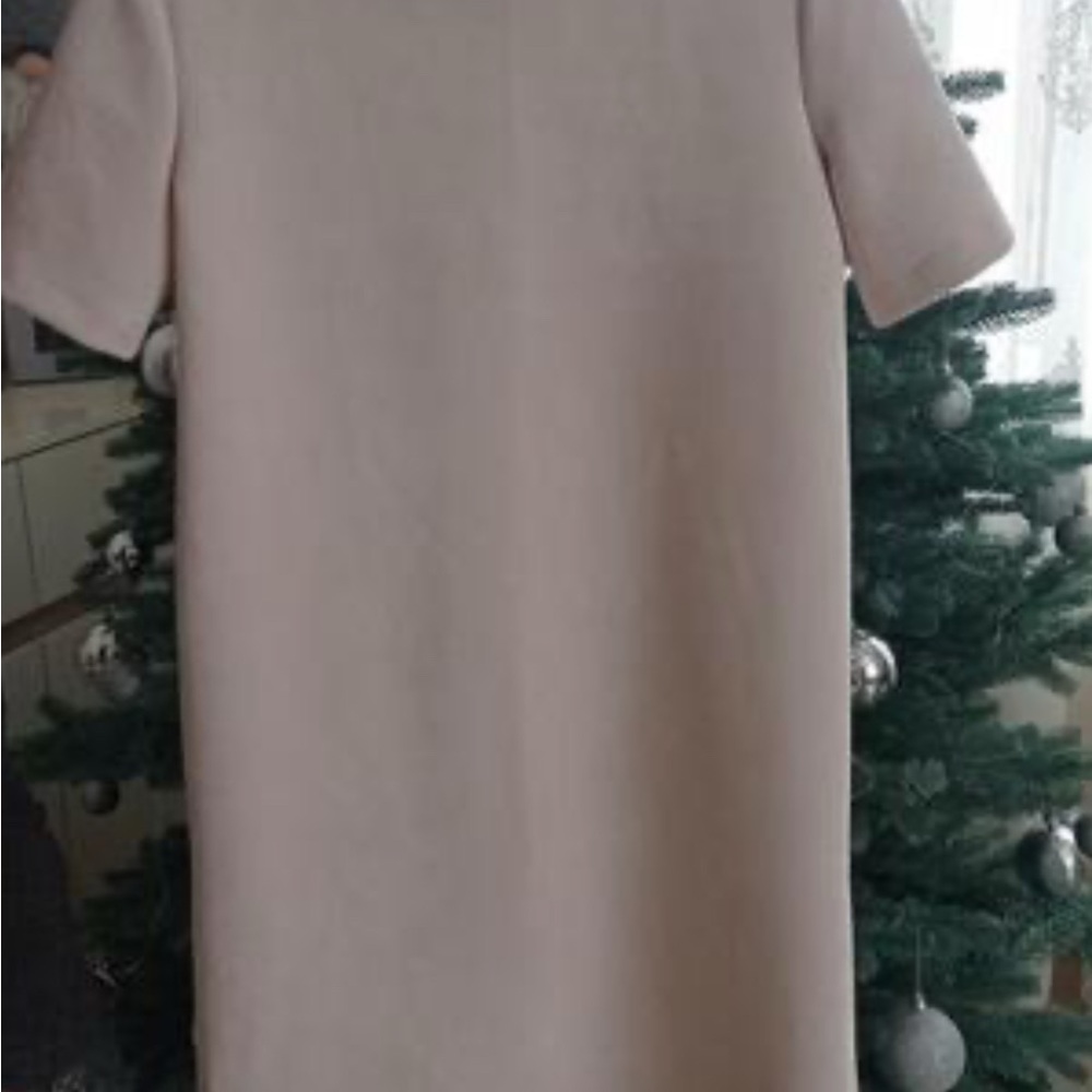 Zara Soft pink Suede Midi Dress